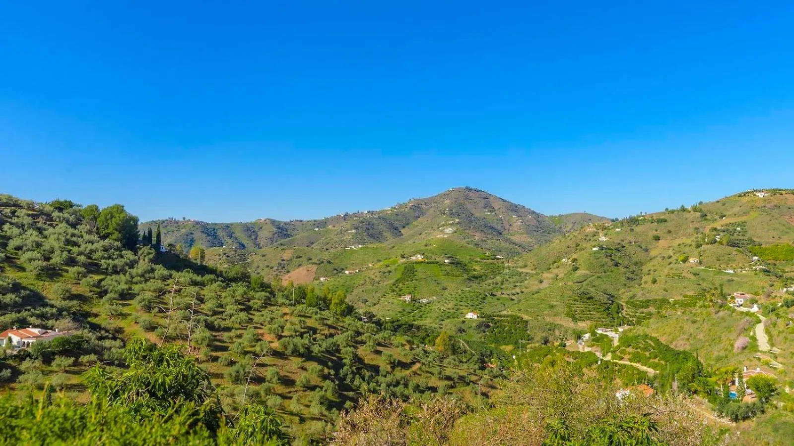Villa Las Palmeras De Torrox By Ruralidays Spain